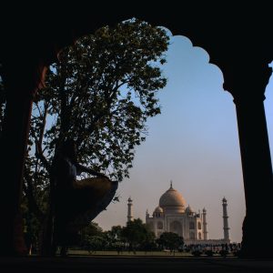 Agra Taj Mahala